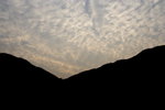 DPP_04121