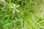 DPP_04134