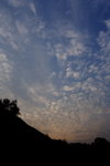 DPP_04136