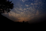 DPP_04138