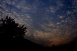 DPP_04139