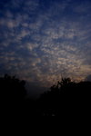 DPP_04144