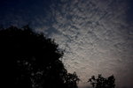 DPP_04994
