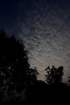 DPP_04995