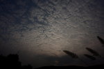 DPP_04996