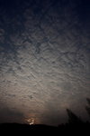 DPP_05000