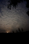 DPP_05001