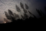 DPP_05002