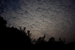 DPP_05004