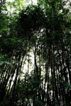DPP_05006