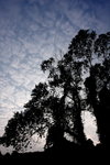 DPP_05008