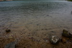 DPP_05017