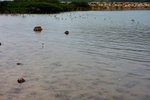 DPP_05019