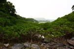 DPP_05020