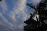 DPP_06007