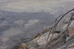 DPP_06019