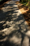 DPP_06066