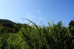 DPP_06071