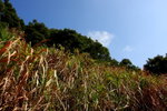DPP_06073