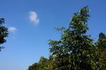DPP_06076