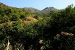 DPP_06077
