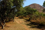 DPP_06087