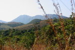 DPP_06095