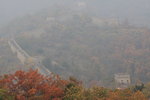 IMG_0595