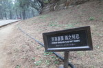 IMG_0768-S100