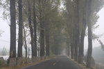 IMG_9997