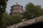 IMG_1402