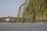 IMG_1685