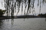 IMG_1691