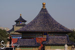 IMG_2847