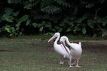 IMG_5540