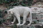 IMG_5913