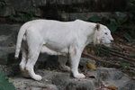 IMG_5921