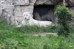 IMG_5926-1