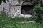 IMG_5927-1