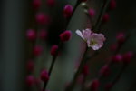 IMG_4775