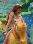 IMG_3487