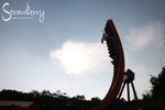 IMG_9898