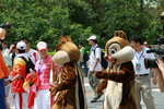 IMG_8234