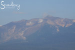 IMG_8584