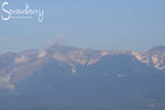 IMG_8585