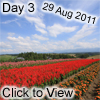 day 3a