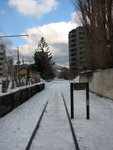 IMG_8359
