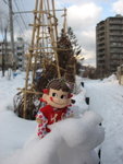 IMG_8386