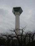IMG_1174