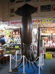 IMG_1576